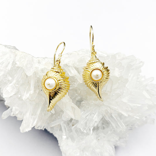 14K Gold plated Brass Freshwater Pearl Conch Shell Earrings 4.5x2CM