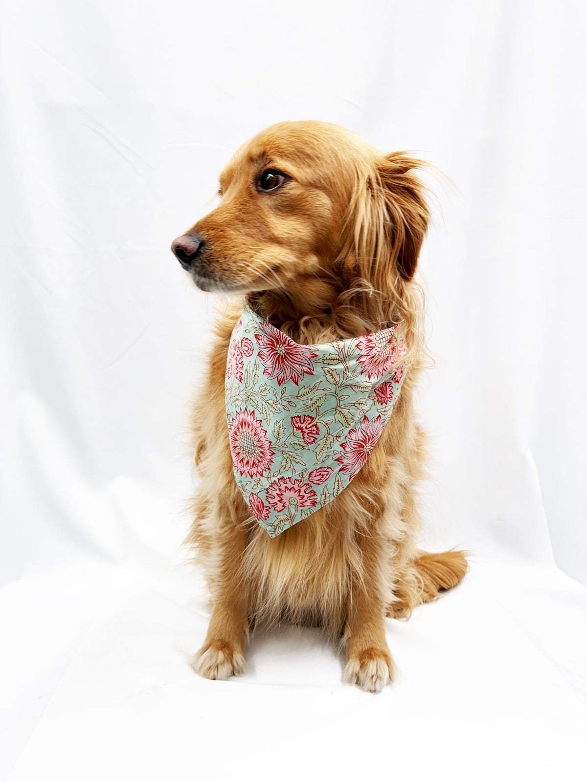 Hand Block Printed Cotton Dog Bandana — Floral Mint & Pink