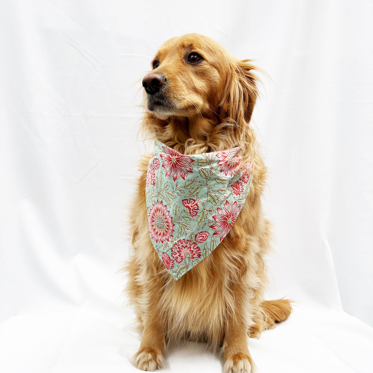 Hand Block Printed Cotton Dog Bandana — Floral Mint & Pink