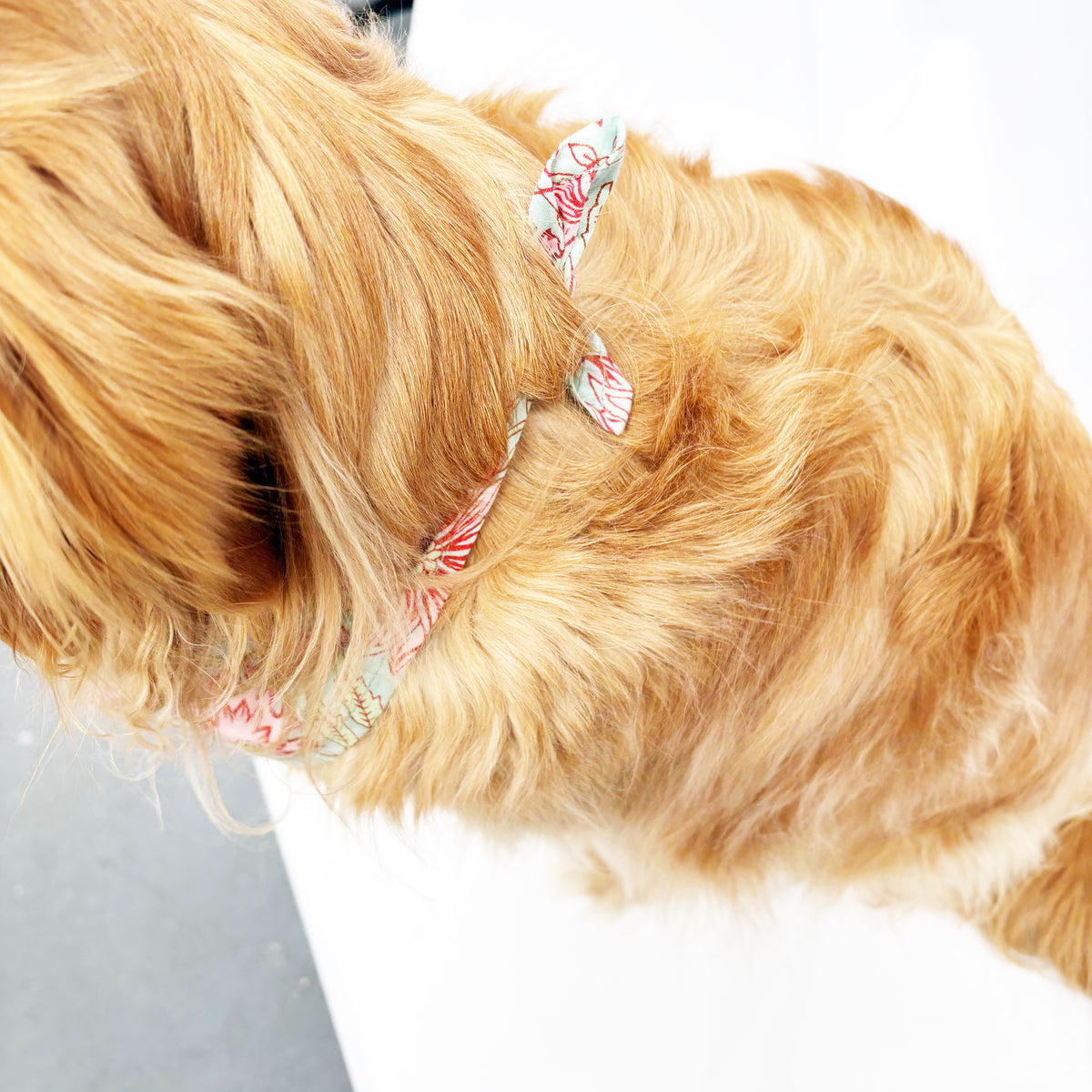 Hand Block Printed Cotton Dog Bandana — Floral Mint & Pink