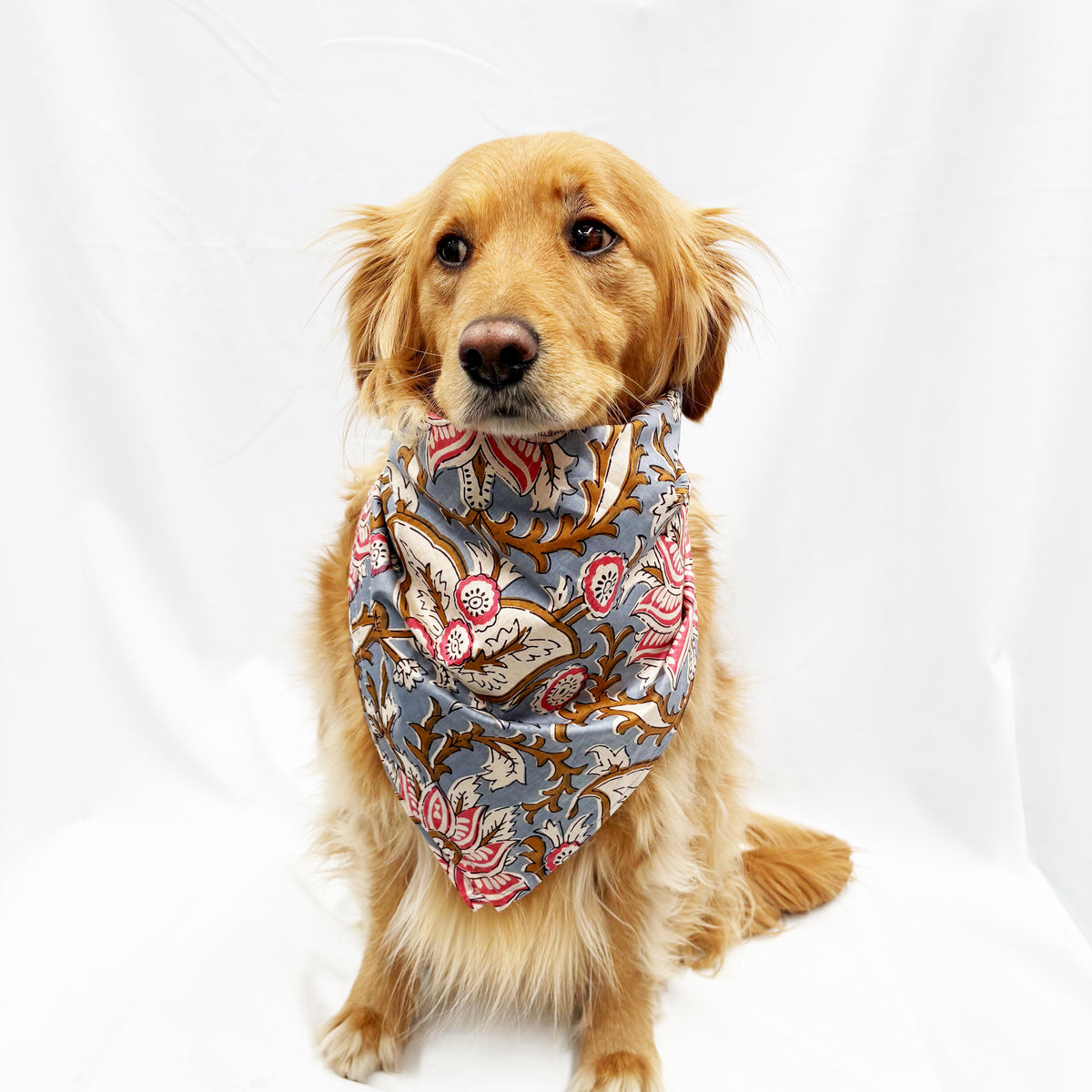 Hand Block Printed Cotton Dog Bandana — Sky Blue & Pink