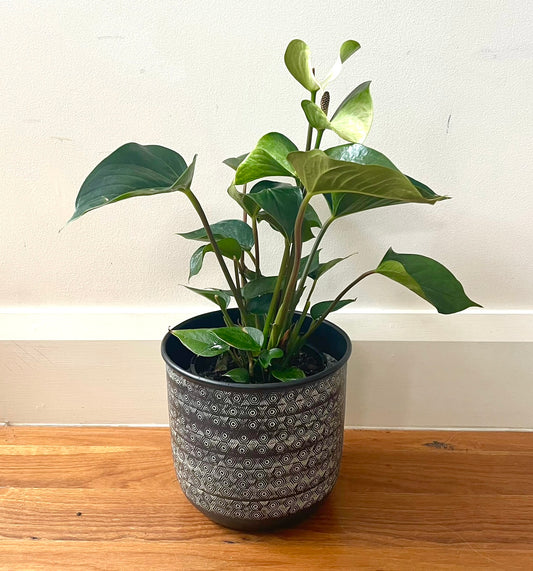 WHITEMETAL GEOMETRIC POT PLANTER 18X16CM