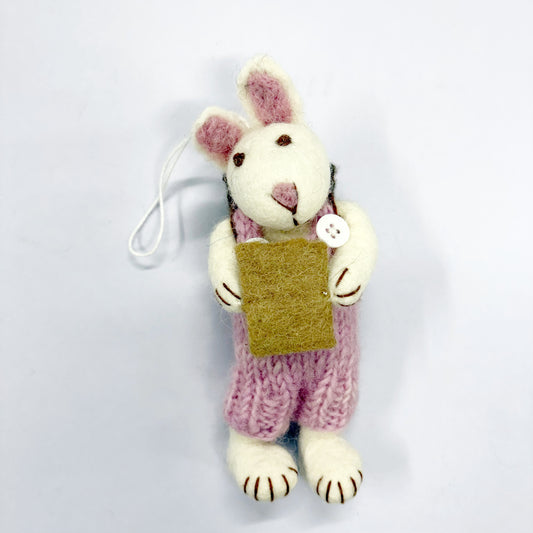 Pink Book Bunny 15x6cm