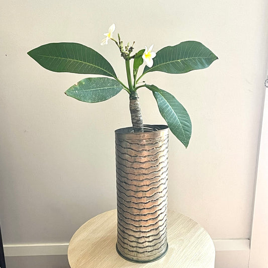 BRASS SILVERPLATED LONG VASE 40CM